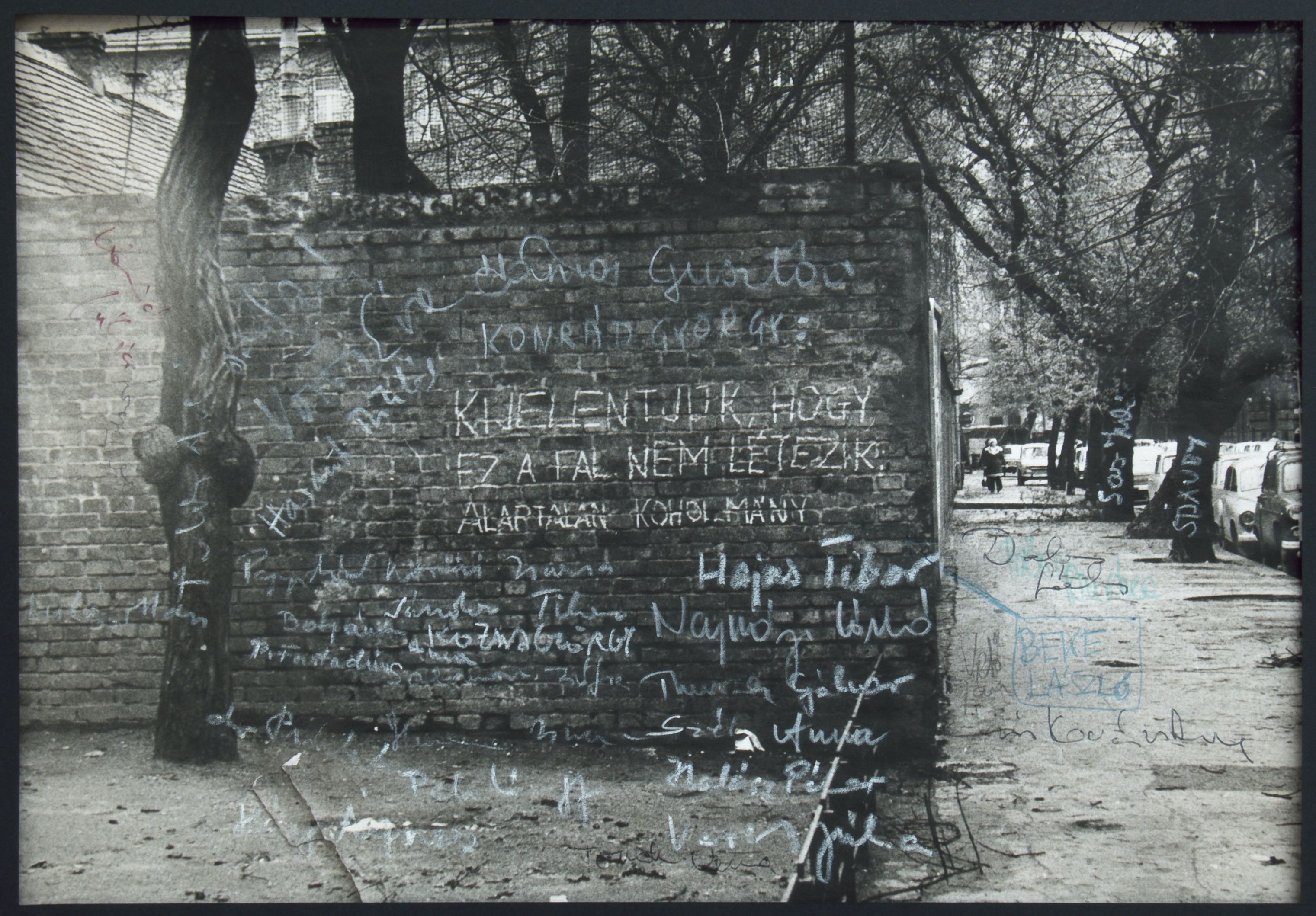 Tibor Hajas - 