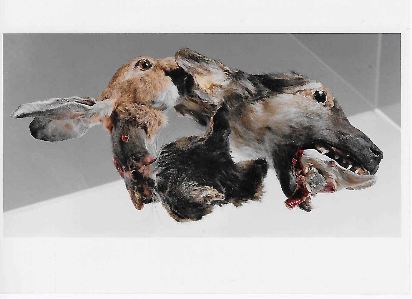 Group Exhibition - 