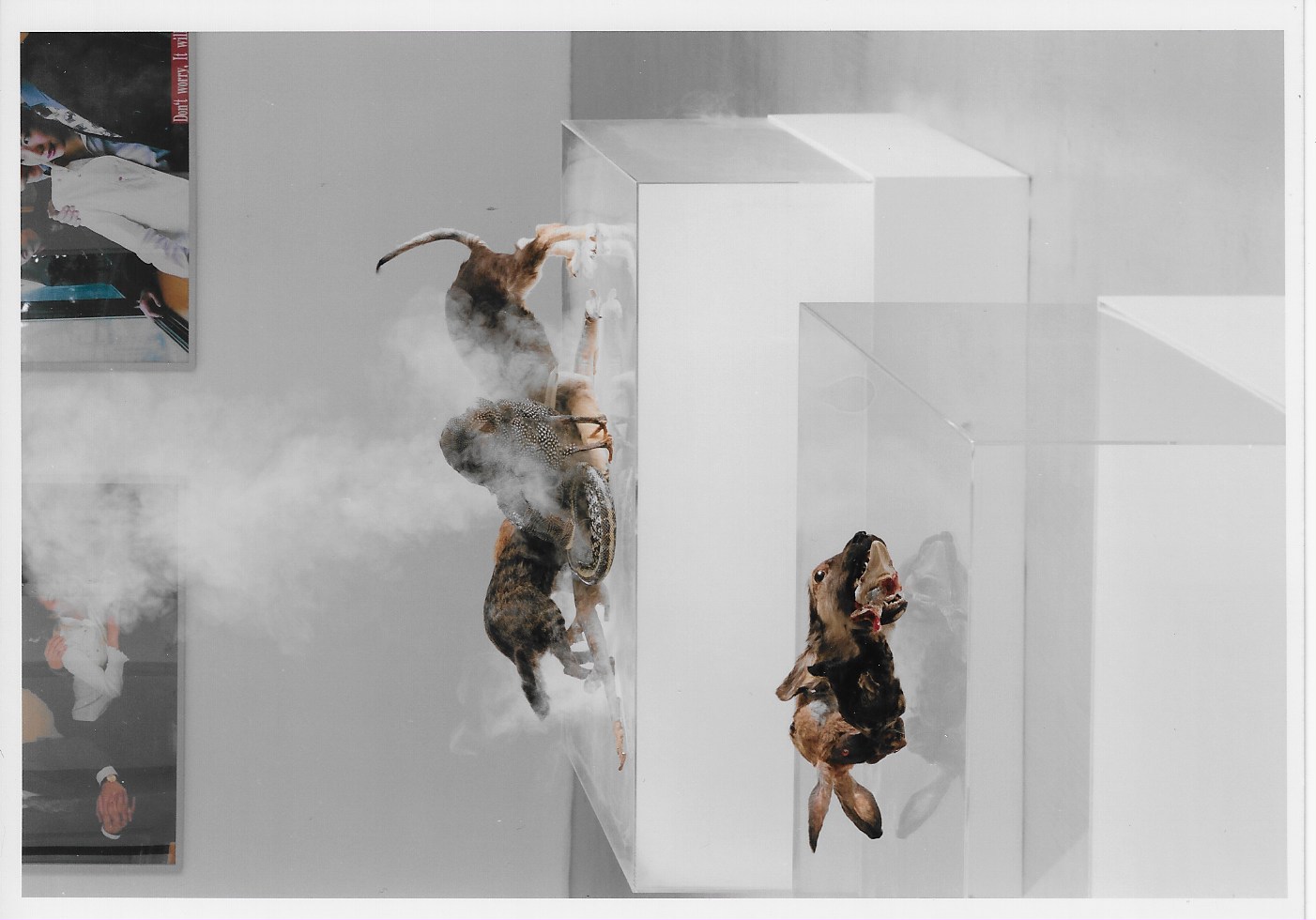 Group Exhibition - 
